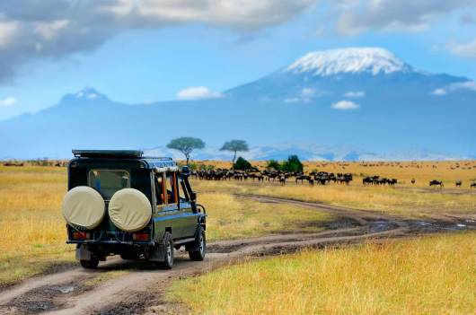 Amboseli