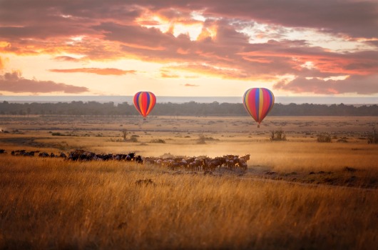 Masai Mara